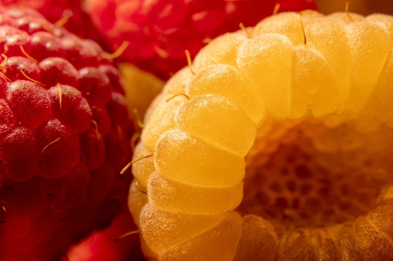Exotic dessert